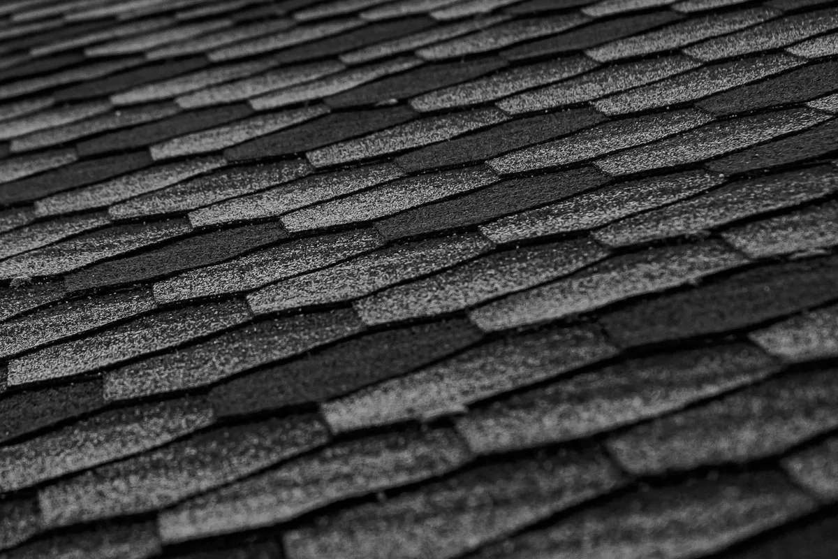 Roof Soft Washing